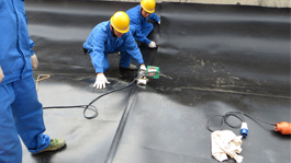 除四害殺蟲公司-滅四害消殺公司