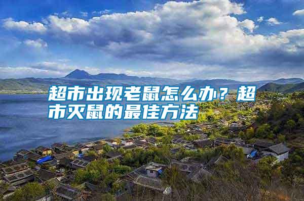 超市出現老鼠怎么辦？超市滅鼠的最佳方法