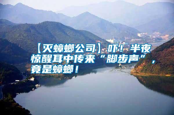 【滅蟑螂公司】嚇！半夜驚醒耳中傳來“腳步聲”，竟是蟑螂！