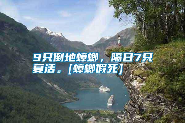 9只倒地蟑螂，隔日7只復活。[蟑螂假死]