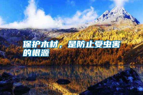 保護木材，是防止受蟲害的根源