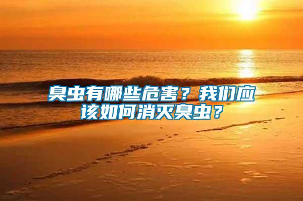 臭蟲有哪些危害？我們應(yīng)該如何消滅臭蟲？