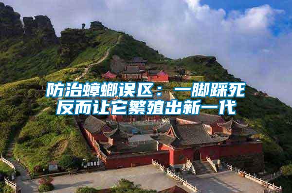 防治蟑螂誤區(qū):一腳踩死反而讓它繁殖出新一代