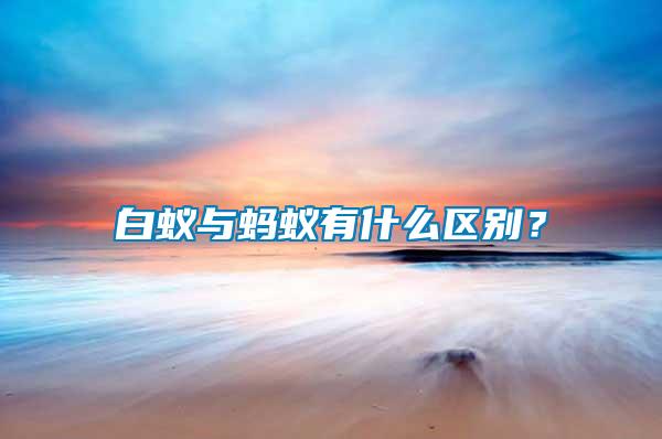 白蟻與螞蟻有什么區別？