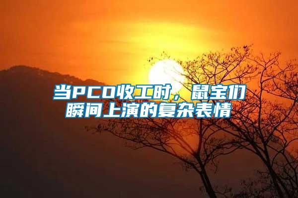 當PCO收工時，鼠寶們瞬間上演的復雜表情