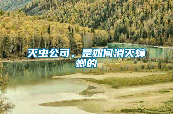 滅蟲公司,是如何消滅蟑螂的