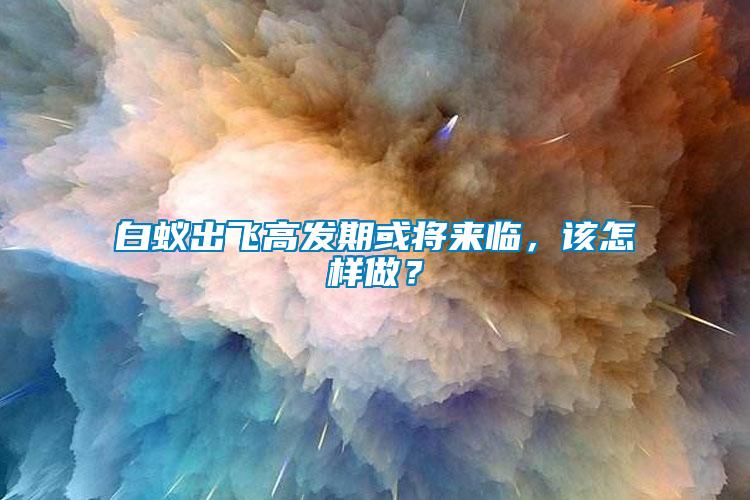 白蟻出飛高發(fā)期或?qū)?lái)臨，該怎樣做？