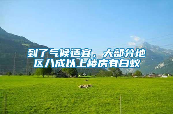 到了氣候適宜，大部分地區(qū)八成以上樓房有白蟻