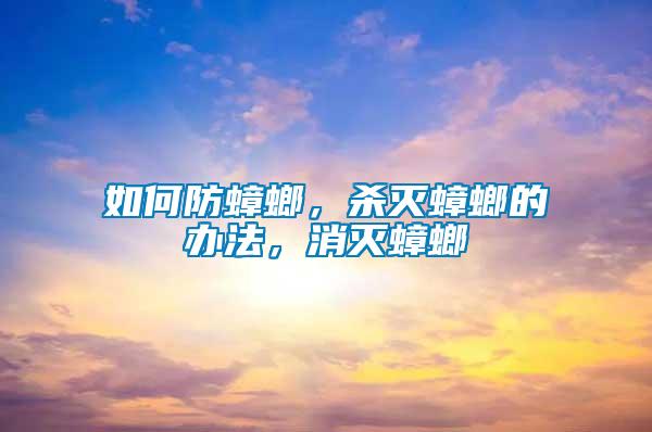 如何防蟑螂，殺滅蟑螂的辦法，消滅蟑螂