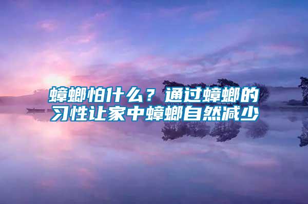 蟑螂怕什么？通過蟑螂的習性讓家中蟑螂自然減少