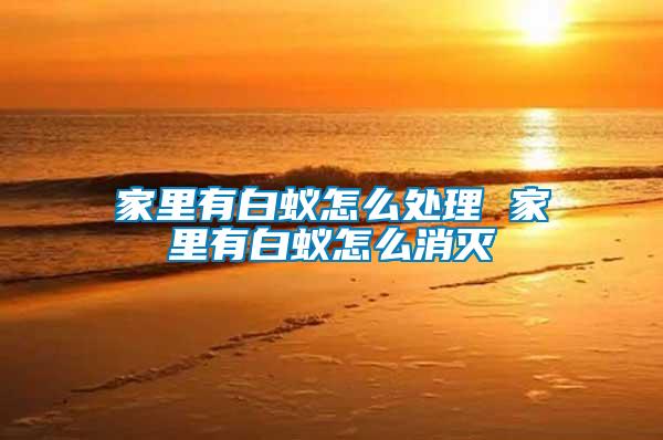 家里有白蟻怎么處理 家里有白蟻怎么消滅