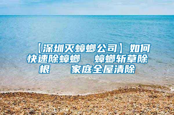 【深圳滅蟑螂公司】如何快速除蟑螂 蟑螂斬草除根 家庭全屋清除