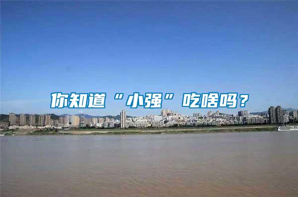 你知道“小強(qiáng)”吃啥嗎？
