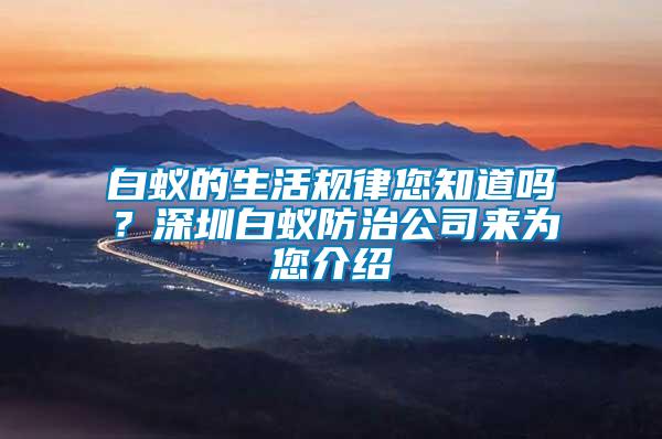 白蟻的生活規律您知道嗎？深圳白蟻防治公司來為您介紹