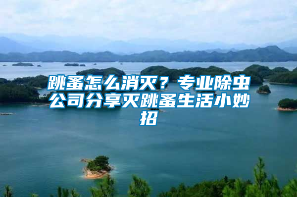 跳蚤怎么消滅?專業(yè)除蟲公司分享滅跳蚤生活小妙招