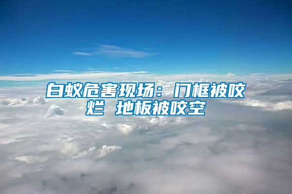 白蟻危害現場：門框被咬爛 地板被咬空