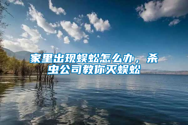 家里出現蜈蚣怎么辦,殺蟲公司教你滅蜈蚣