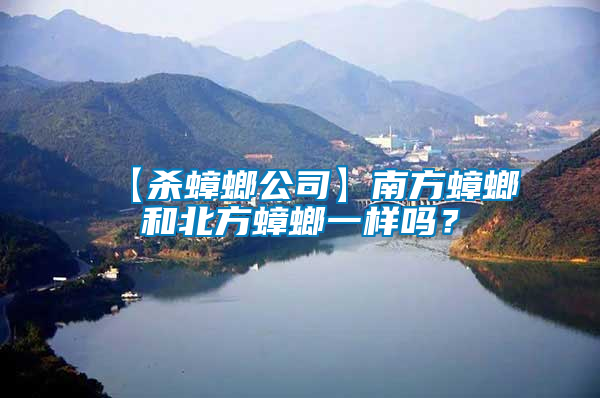 【殺蟑螂公司】南方蟑螂和北方蟑螂一樣嗎?