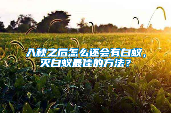 入秋之后怎么還會有白蟻，滅白蟻?zhàn)罴训姆椒ǎ?/></p>
             <p style=