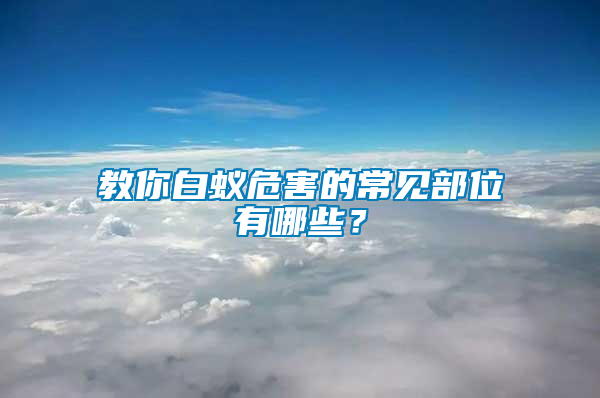 教你白蟻危害的常見部位有哪些?