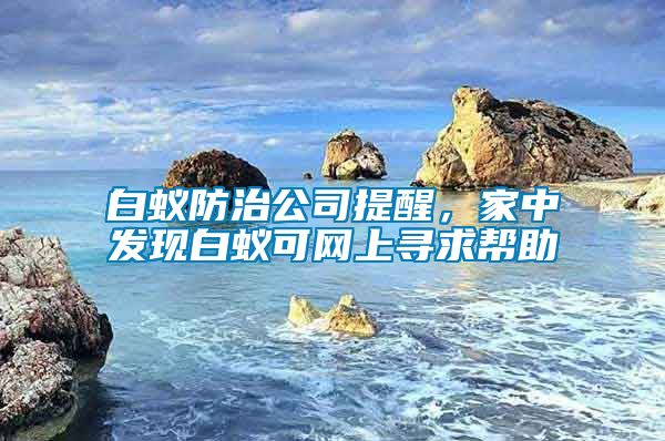 白蟻防治公司提醒,家中發現白蟻可網上尋求幫助