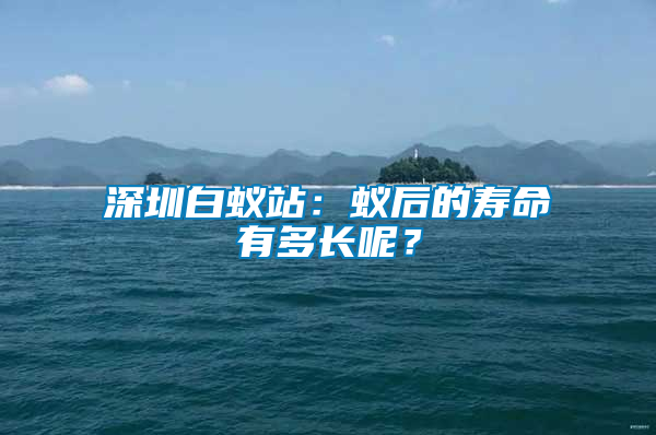 深圳白蟻站:蟻后的壽命有多長(zhǎng)呢?
