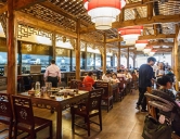 四害消殺：餐飲、酒店行業(yè)